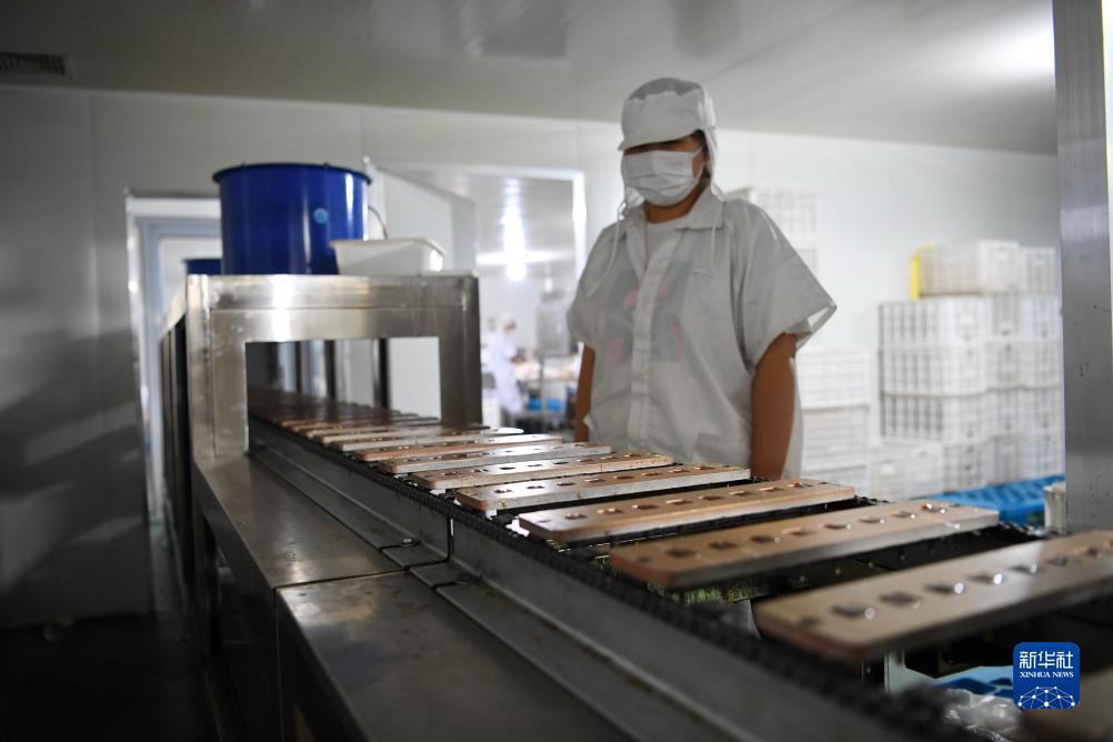 捕鱼游戏网页版在线玩